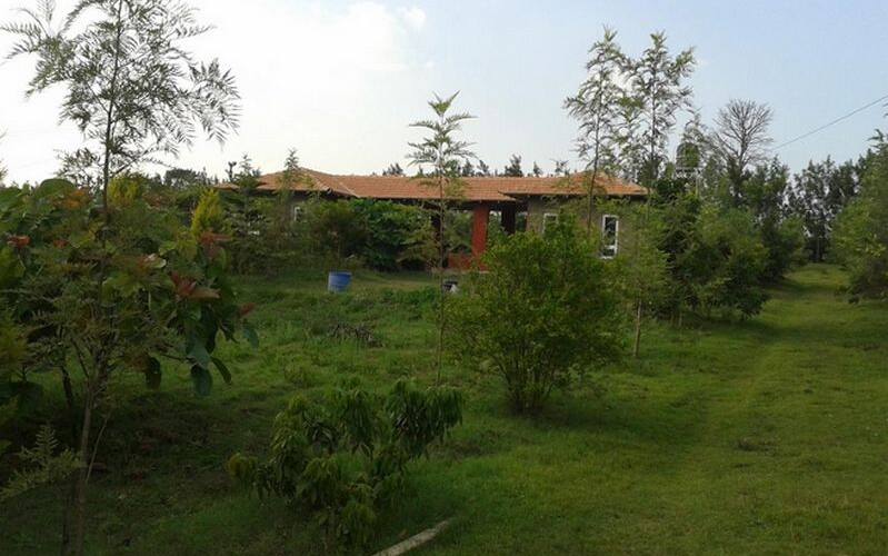 Robby Roots Home Stay, Madikeri 3